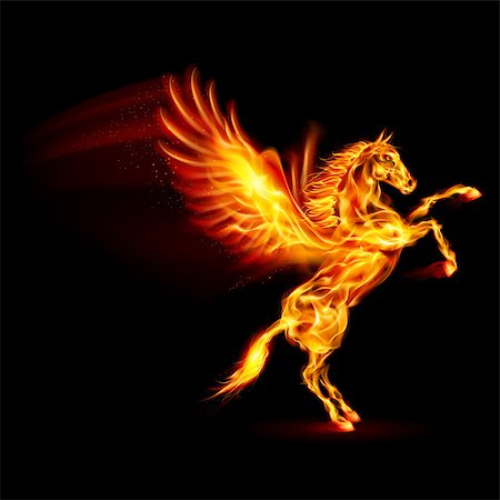 simsearch:400-07252716,k - Fire Pegasus rearing up. Illustration on black background Fotografie stock - Microstock e Abbonamento, Codice: 400-07252702