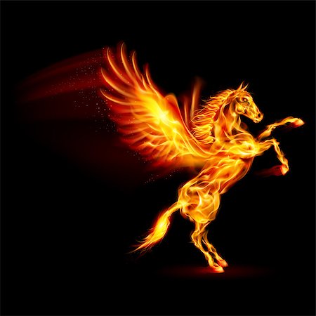 simsearch:400-07257318,k - Fire Pegasus rearing up. Illustration on black background Fotografie stock - Microstock e Abbonamento, Codice: 400-07252702