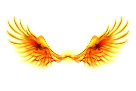 simsearch:400-07252708,k - Illustration of fire wings on white background. Foto de stock - Super Valor sin royalties y Suscripción, Código: 400-07252717