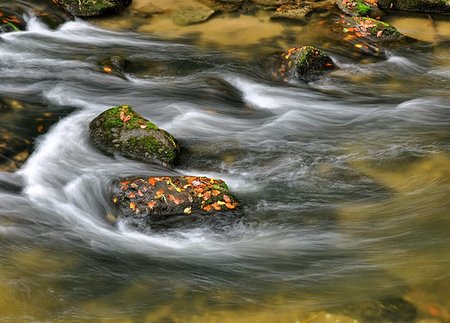 simsearch:400-04715797,k - Autumn river with fast flowing water and rocks filled - leaves Stock Photo - Budget Royalty-Free & Subscription, Code: 400-07252785