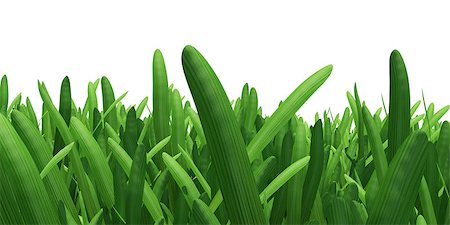 simsearch:400-03945601,k - Field of green grass. Background texture, high resolution Stock Photo - Budget Royalty-Free & Subscription, Code: 400-07253142