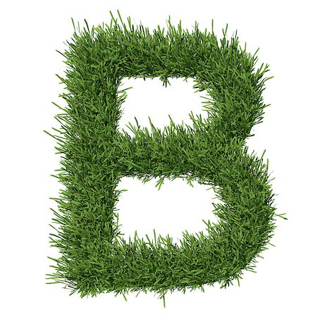 simsearch:400-06062275,k - Letter of the alphabet made from grass. Isolated render on a white background Stockbilder - Microstock & Abonnement, Bildnummer: 400-07253143