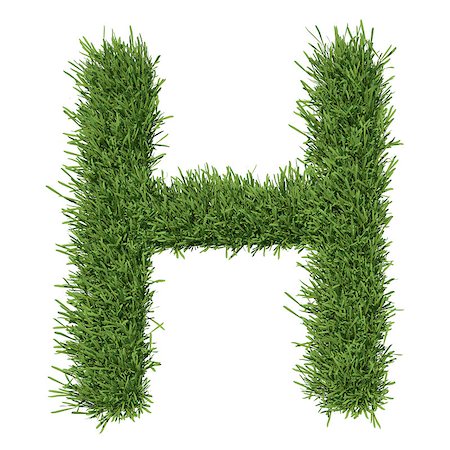simsearch:400-06062275,k - Letter of the alphabet made from grass. Isolated render on a white background Stockbilder - Microstock & Abonnement, Bildnummer: 400-07253171
