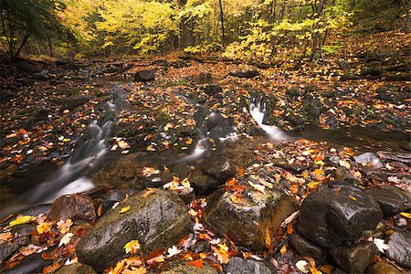 simsearch:400-07338930,k - Mountain creek with small waterfalls cascade and golden autumn leaves Foto de stock - Super Valor sin royalties y Suscripción, Código: 400-07253241