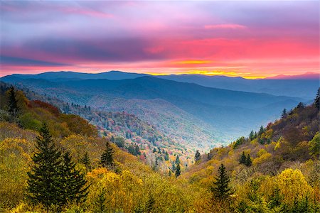 simsearch:400-07090796,k - Autumn morning in the Smoky Mountains National Park. Stock Photo - Budget Royalty-Free & Subscription, Code: 400-07253970