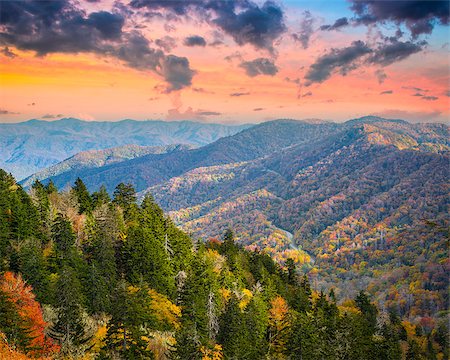 simsearch:400-08696882,k - Autumn morning in the Smoky Mountains National Park. Stock Photo - Budget Royalty-Free & Subscription, Code: 400-07253972