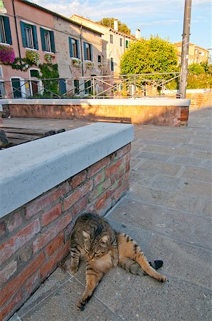 simsearch:400-07272498,k - unusual pittoresque view of Venice Italy most touristic place in the world still can find secret hidden spots Stock Photo - Budget Royalty-Free & Subscription, Code: 400-07264545