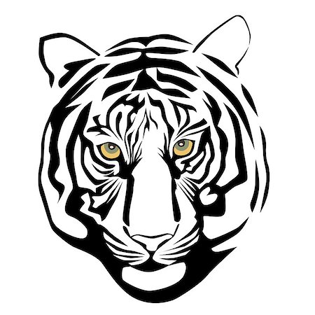 Vector illustration of tiger head Stock Photo - Budget Royalty-Free & Subscription, Code: 400-07264705