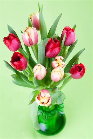 simsearch:6102-03750354,k - Beautiful red and yellow tulips in a vase Photographie de stock - Aubaine LD & Abonnement, Code: 400-07264750