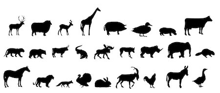 vector set of animals silhouette Stock Photo - Budget Royalty-Free & Subscription, Code: 400-07265778