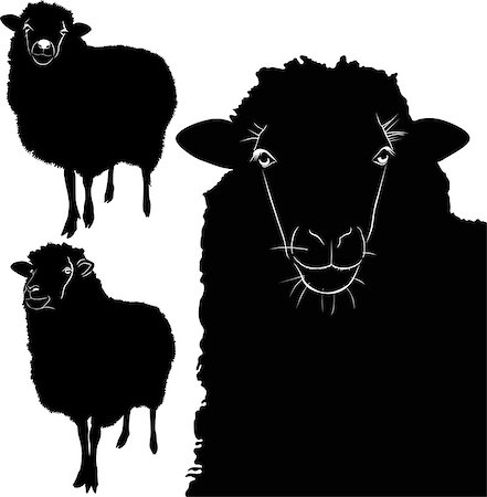 ewe - animal sheep lamb vector isolated on white background Stock Photo - Budget Royalty-Free & Subscription, Code: 400-07265856