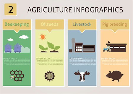 Agriculture infographics. Vector for you design Stock Photo - Budget Royalty-Free & Subscription, Code: 400-07266079