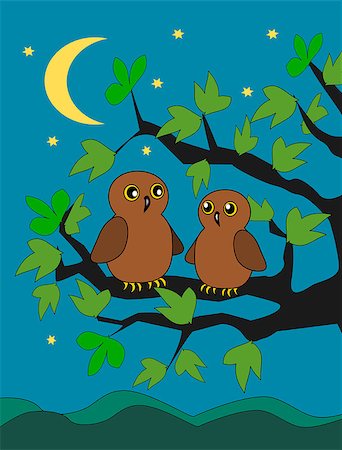 simsearch:400-04409562,k - Two owls sitting on a branch in the moonlight. Fotografie stock - Microstock e Abbonamento, Codice: 400-07266476