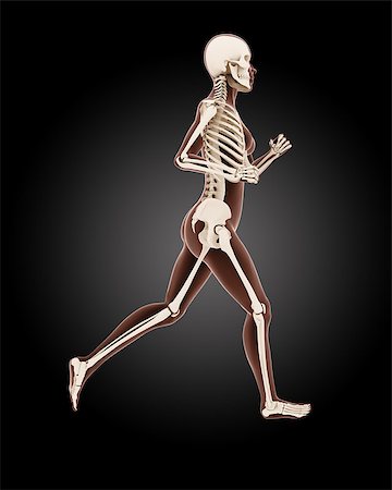 simsearch:400-04280645,k - 3D render of a running female medical skeleton Photographie de stock - Aubaine LD & Abonnement, Code: 400-07266597