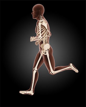 simsearch:400-04280645,k - 3D render of a running male medical skeleton Photographie de stock - Aubaine LD & Abonnement, Code: 400-07266598