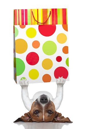 dog christmas background - dog holding a shopping bag lying upside down Stock Photo - Budget Royalty-Free & Subscription, Code: 400-07260607