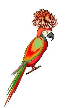 A parrot macaw isolated on a white background. Vector-art illustration Stock Photo - Budget Royalty-Free & Subscription, Code: 400-07261607