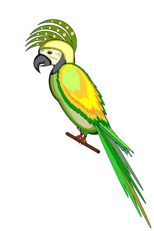 A parrot macaw isolated on a white background. Vector-art illustration Stock Photo - Budget Royalty-Free & Subscription, Code: 400-07261609