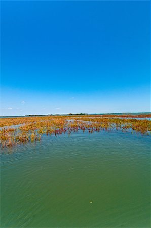 simsearch:400-07272498,k - Venice Italy lagune view of the barena where the fresh water and sea water mix Stock Photo - Budget Royalty-Free & Subscription, Code: 400-07263614