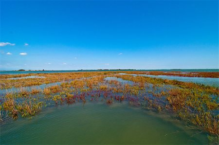 simsearch:400-07272498,k - Venice Italy lagune view of the barena where the fresh water and sea water mix Stock Photo - Budget Royalty-Free & Subscription, Code: 400-07263613