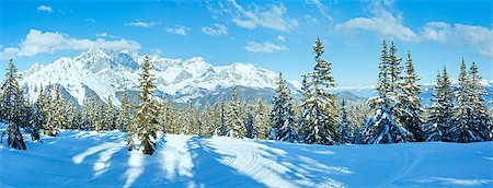 panoramic winter tree landscape - Winter mountain fir forest snowy panorama and ski slope (top of Papageno bahn - Filzmoos, Austria) Stock Photo - Budget Royalty-Free & Subscription, Code: 400-07263625