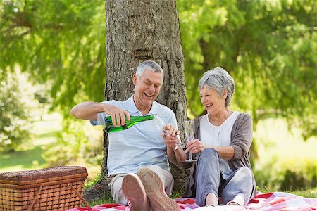 simsearch:400-07274981,k - Cheerful senior man and woman having champagne at the park Stock Photo - Budget Royalty-Free & Subscription, Code: 400-07275058