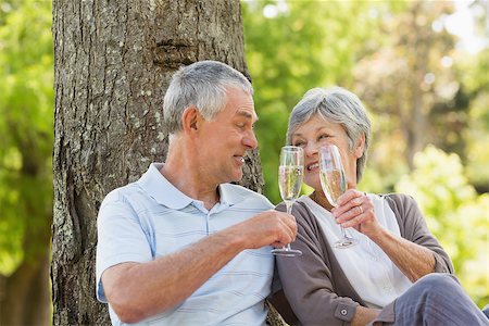 simsearch:400-07274981,k - Happy senior man and woman toasting champagne flutes at the park Stock Photo - Budget Royalty-Free & Subscription, Code: 400-07275064