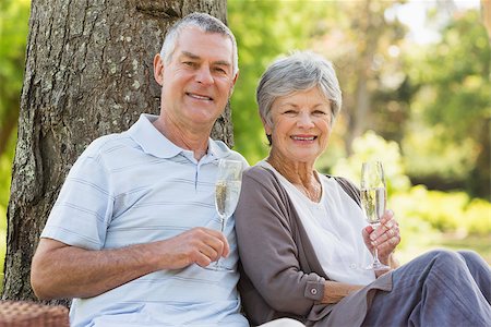 simsearch:400-07275058,k - Happy senior man and woman with champagne flutes at the park Fotografie stock - Microstock e Abbonamento, Codice: 400-07275065