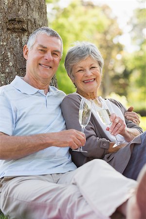 simsearch:400-07275058,k - Happy senior man and woman with champagne flutes at the park Fotografie stock - Microstock e Abbonamento, Codice: 400-07275067