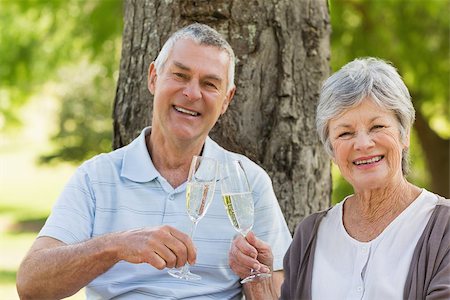 simsearch:400-07275058,k - Portrait of happy senior man and woman toasting champagne flutes at the park Fotografie stock - Microstock e Abbonamento, Codice: 400-07275060
