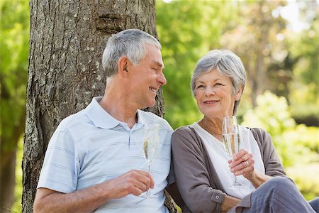 simsearch:400-07274982,k - Happy senior man and woman with champagne flutes at the park Stock Photo - Budget Royalty-Free & Subscription, Code: 400-07275062
