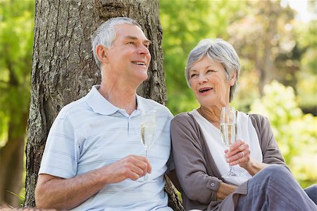 simsearch:400-07275058,k - Happy senior man and woman with champagne flutes at the park Fotografie stock - Microstock e Abbonamento, Codice: 400-07275063