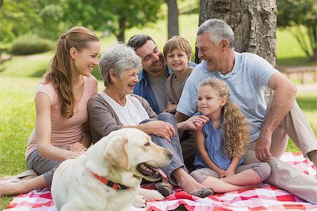 family portrait daughter dog - Portrait of an extended family with their pet dog sitting at the park Stock Photo - Budget Royalty-Free & Subscription, Code: 400-07275071