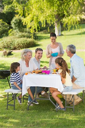 simsearch:400-07275176,k - Side view of extended family dining at outdoor table Stock Photo - Budget Royalty-Free & Subscription, Code: 400-07275235
