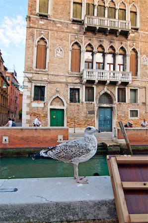 simsearch:400-07272498,k - unusual pittoresque view of Venice Italy most touristic place in the world Stock Photo - Budget Royalty-Free & Subscription, Code: 400-07272489