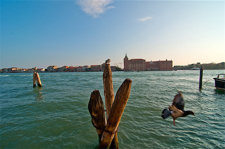 simsearch:400-07272498,k - unusual pittoresque view of Venice Italy most touristic place in the world Stock Photo - Budget Royalty-Free & Subscription, Code: 400-07272483