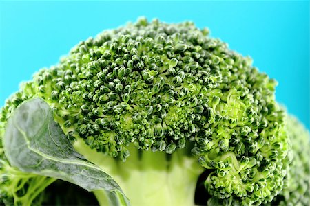 simsearch:400-07822704,k - Fresh broccoli in closeup Photographie de stock - Aubaine LD & Abonnement, Code: 400-07288182