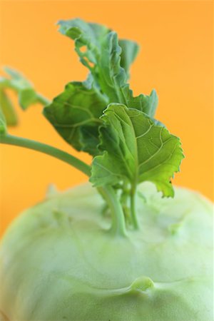 simsearch:400-07822704,k - Cabbage kohlrabi on orange background Photographie de stock - Aubaine LD & Abonnement, Code: 400-07288193