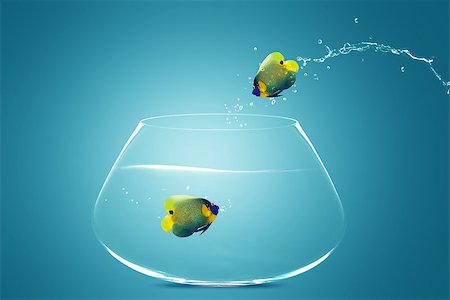 simsearch:400-06080242,k - Angelfish jumbing to other bowl, Good Concept for new love, new Opprtunity and challenge concept. Stock Photo - Budget Royalty-Free & Subscription, Code: 400-07288281