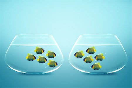 simsearch:649-05950711,k - Two groups of angelfish in fishbowls looking to each other. Stock Photo - Budget Royalty-Free & Subscription, Code: 400-07288302