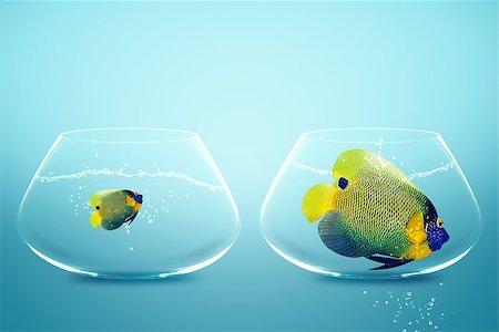 simsearch:400-06080242,k - Large and small angelfish,conceptual image for diet, fat. Stock Photo - Budget Royalty-Free & Subscription, Code: 400-07288316