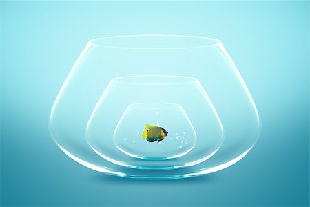 simsearch:400-06080242,k - Angelfish live in small bowl, Good Concept for A growing population. Stock Photo - Budget Royalty-Free & Subscription, Code: 400-07288794