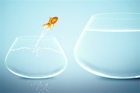 simsearch:400-06080242,k - goldfish in small fishbowl watching goldfish jump into large fishbowl Stock Photo - Budget Royalty-Free & Subscription, Code: 400-07288843