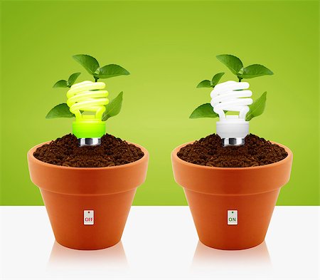 simsearch:640-02950655,k - modern energy-saving concept, bright bulb, garden pot and green leaves. Stockbilder - Microstock & Abonnement, Bildnummer: 400-07288957