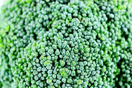 simsearch:400-07822704,k - Fresh broccoli in closeup Photographie de stock - Aubaine LD & Abonnement, Code: 400-07289292
