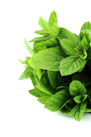 simsearch:400-06531157,k - fresh mint leaves on a white background Foto de stock - Royalty-Free Super Valor e Assinatura, Número: 400-07289512