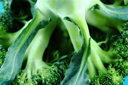 simsearch:400-07822704,k - Fresh broccoli in closeup Photographie de stock - Aubaine LD & Abonnement, Code: 400-07289541