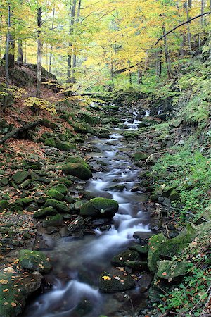 rogit (artist) - Flowing blurred water between boulders on an autumn creek in Beskydy Mountains, Czech Republic. Photographie de stock - Aubaine LD & Abonnement, Code: 400-07289565