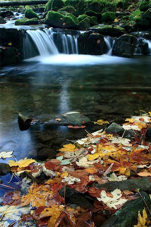 rogit (artist) - Water Cascade on Satina Creek in Beskydy Mountains, Czech Republic. Colorful Leaves in the foreground. Stock Photo - Budget Royalty-Free & Subscription, Code: 400-07289566