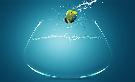 simsearch:400-06080242,k - Angelfish jumping to other bowl, Good Concept for new love, freedom, liberty, independence, unrestraint, new Opportunity and challenge concept. Stock Photo - Budget Royalty-Free & Subscription, Code: 400-07289731